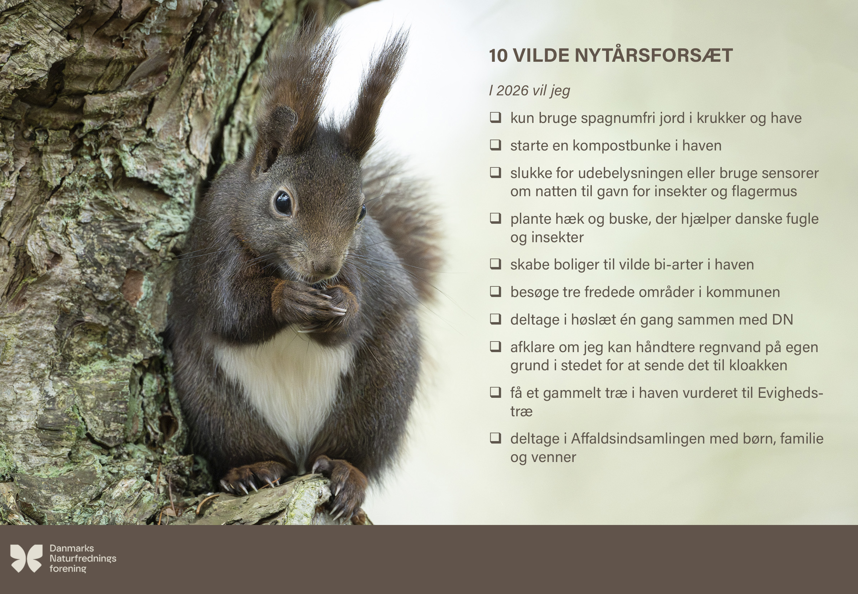 10 vilde nytårsforsæt