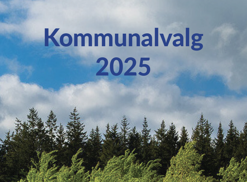 Kommunalvalg 2025