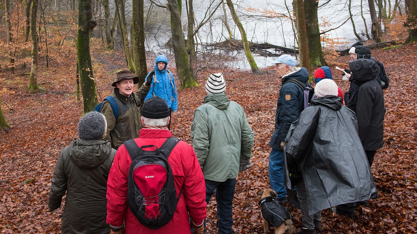 Todo